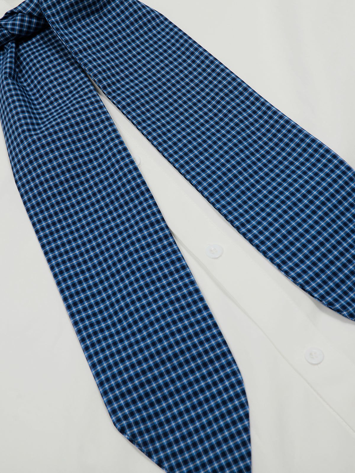 Plaid Necktie Shirt