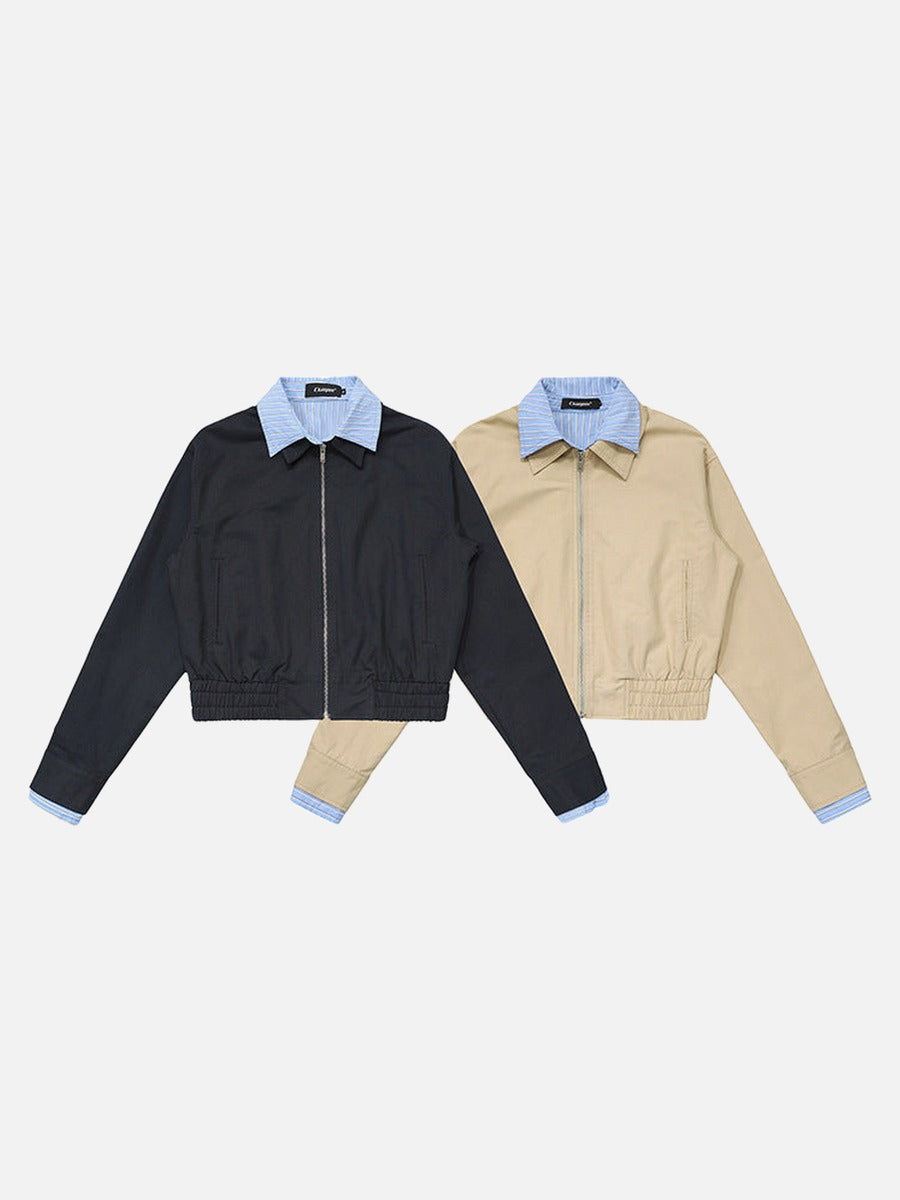 DAXUEN Cropped bomber jacket with striped collar