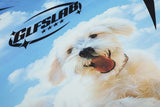 DAXUEN Sky blue short-sleeved graphic t-shirt featuring a dog