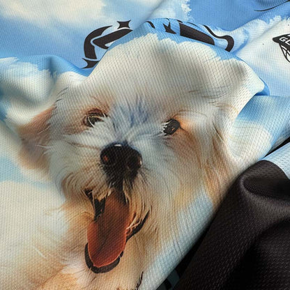 DAXUEN Sky blue short-sleeved graphic t-shirt featuring a dog
