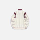 Colorblock Graphic Fleece Lined Polo Sweatshirt