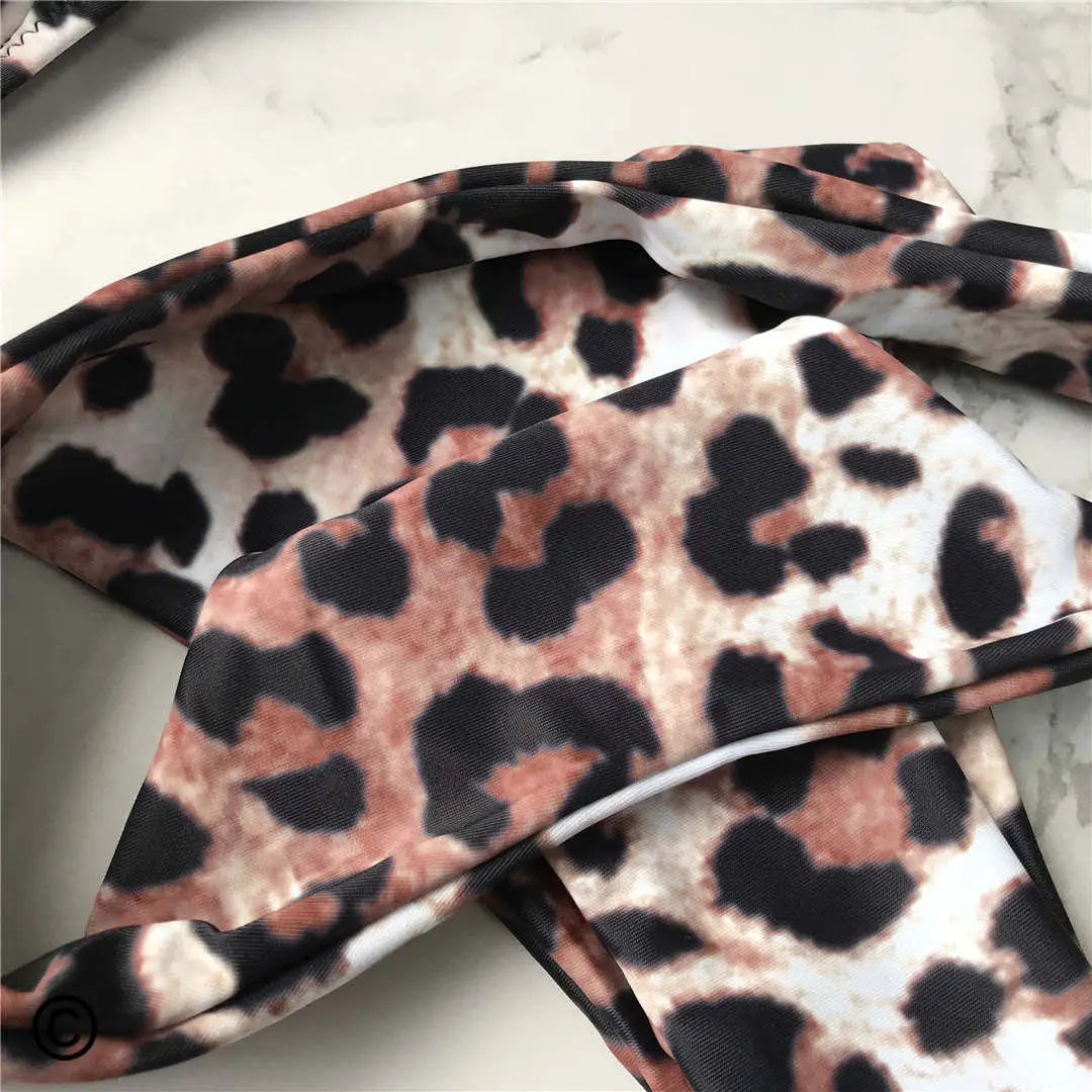 Cheetah Bikini Set