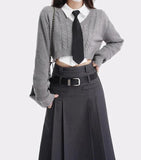 Pleated Midi Skirt