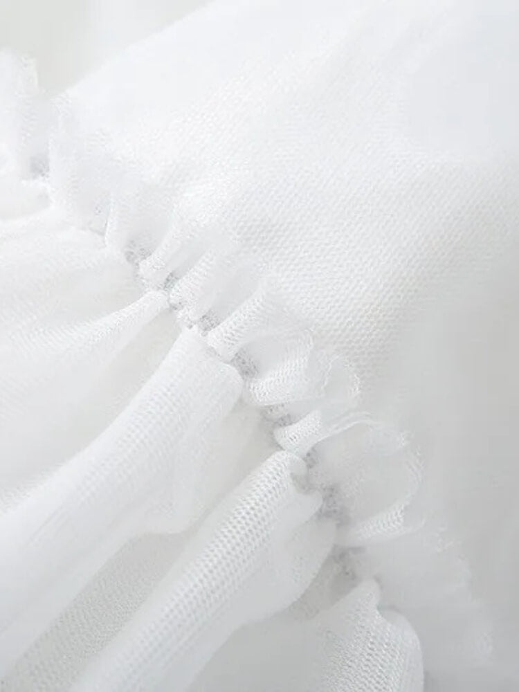 Coquette Tulle Skirt & Top Set
