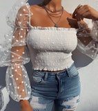 Mesh Sheer Long Sleeve Top