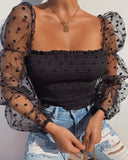 Mesh Sheer Long Sleeve Top