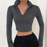 Solid Turtleneck Long Sleeves Crop Top