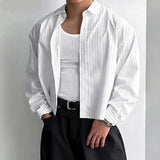 Classic Simple Korean Style Striped Cropped Shirt