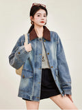 Classic Faux Collar Regular Fit Denim Jacket