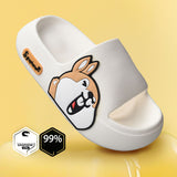 Cute Animals Slippers