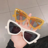 Timeless Elegance Sunglasses