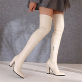 Classic Pointed Toe Over the Knee Zipper Boot