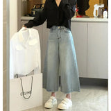 Elevated Light Colors High Waist Wide Jeans