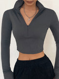Solid Turtleneck Long Sleeves Crop Top