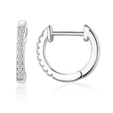 Hoop Huggie Earring