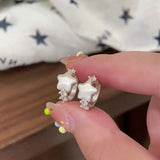 Exquisite Korean Star Silver Zircon Earrings