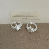 Exquisite Korean Star Silver Zircon Earrings