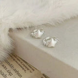Exquisite Korean Star Silver Zircon Earrings