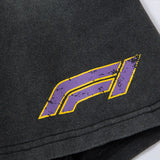 F1 Grunge Insulated Graphic Printed Tie Race T-Shirt