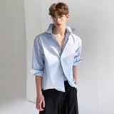 Elegant French Style Casual Long Sleeve Shirt