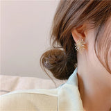 Firework Flowers Zircon Copper Earring
