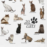 Various Cats Breeds Graphic T-shirt