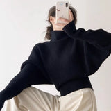 Women Stylish Bubble Sleeve Knit Sweater