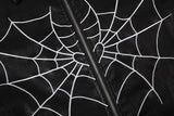 Y2K Spider Web Motorcycle Jacket