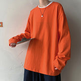 Long Sleeve Oversized Blank T-shirt
