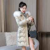 Women's Long Quilted Puffer Jacket