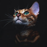 Stargazing Cat Graphic Print T-Shirt
