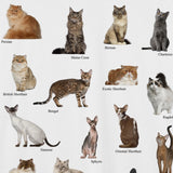 Various Cats Breeds Graphic T-shirt