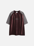 Textured Vertical Stripe Raglan T-Shirt