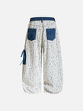 DAXUEN Wide-leg embroidered trousers with patterned fabric