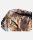 DAXUEN White short-sleeved T-shirt with cat graphic and colour blocking