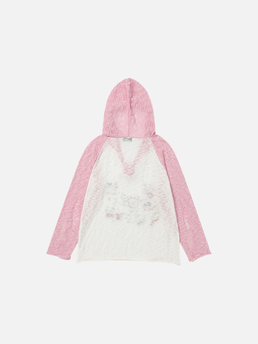 DAXUEN Color-blocked long-sleeved hooded top with cat graphics