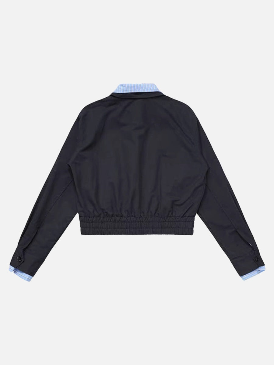 DAXUEN Cropped bomber jacket with striped collar