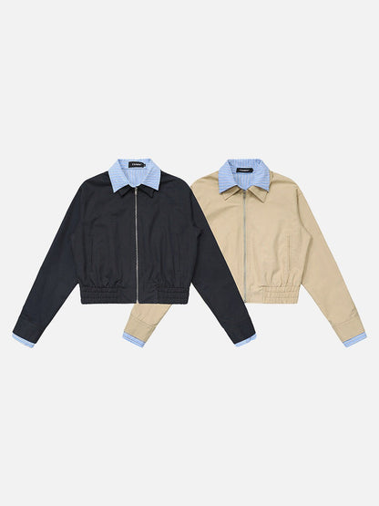 DAXUEN Cropped bomber jacket with striped collar