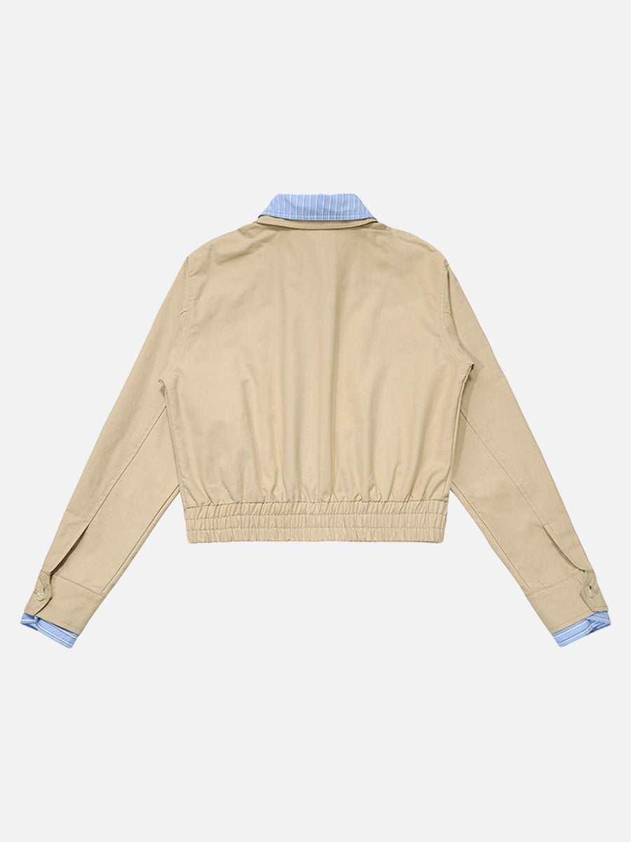 DAXUEN Cropped bomber jacket with striped collar and cuffs