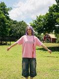 DAXUEN light pink faded winged graphic retro sports tee — model photo
