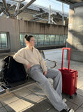 DAXUEN heather grey wide-leg fleece sweatpants — model photo