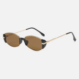 Oval Minimalist Metal Sunglasses with Accents