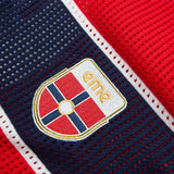 DAXUEN red oversized mesh polo with navy cross graphic