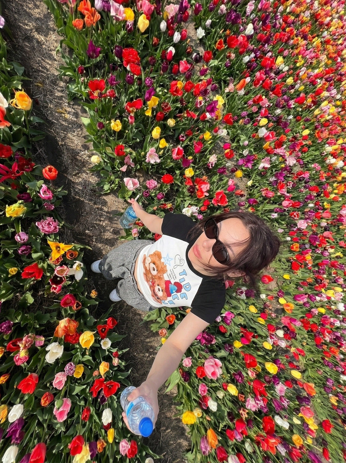 DAXUEN Slim-fit raglan sleeve T-shirt with bear graphic — model photo