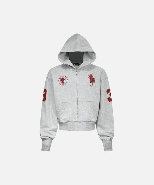 DAXUEN Cropped relaxed-fit hooded sweatshirt with graphics