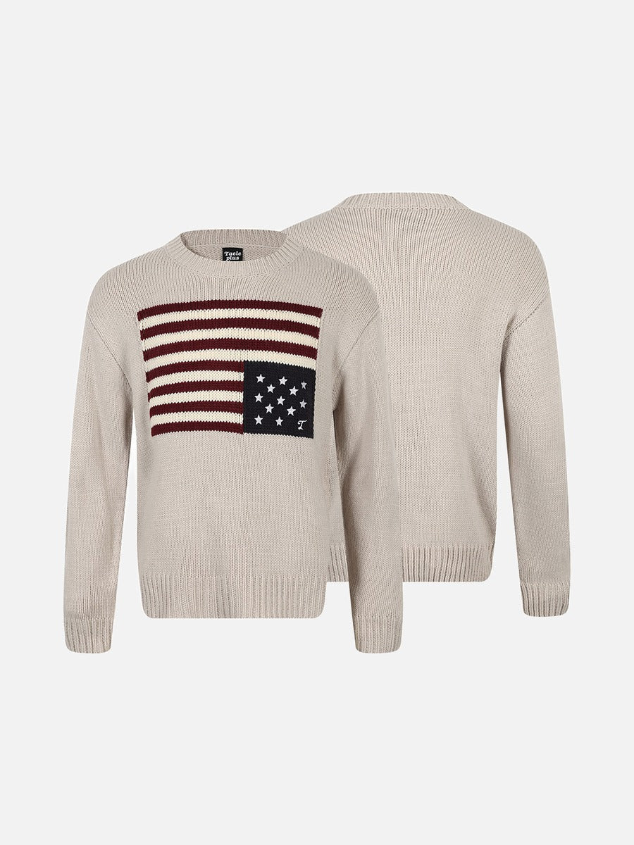 Stylized Flag Graphic Long-Sleeve Sweater
