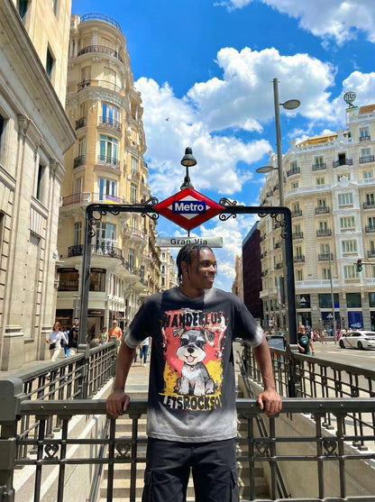 DAXUEN Cartoon schnauzer graphic t-shirt — model photo