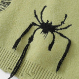 Spider Embroidery Ripped Loose Sweater